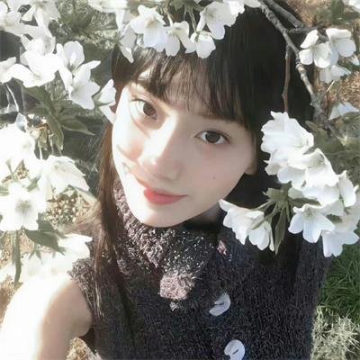 回到白垩纪